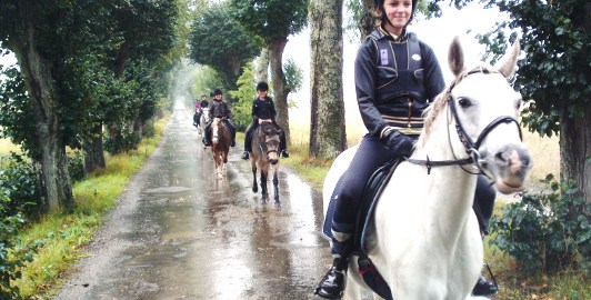 Ungdom ponnyer i allen_skalad