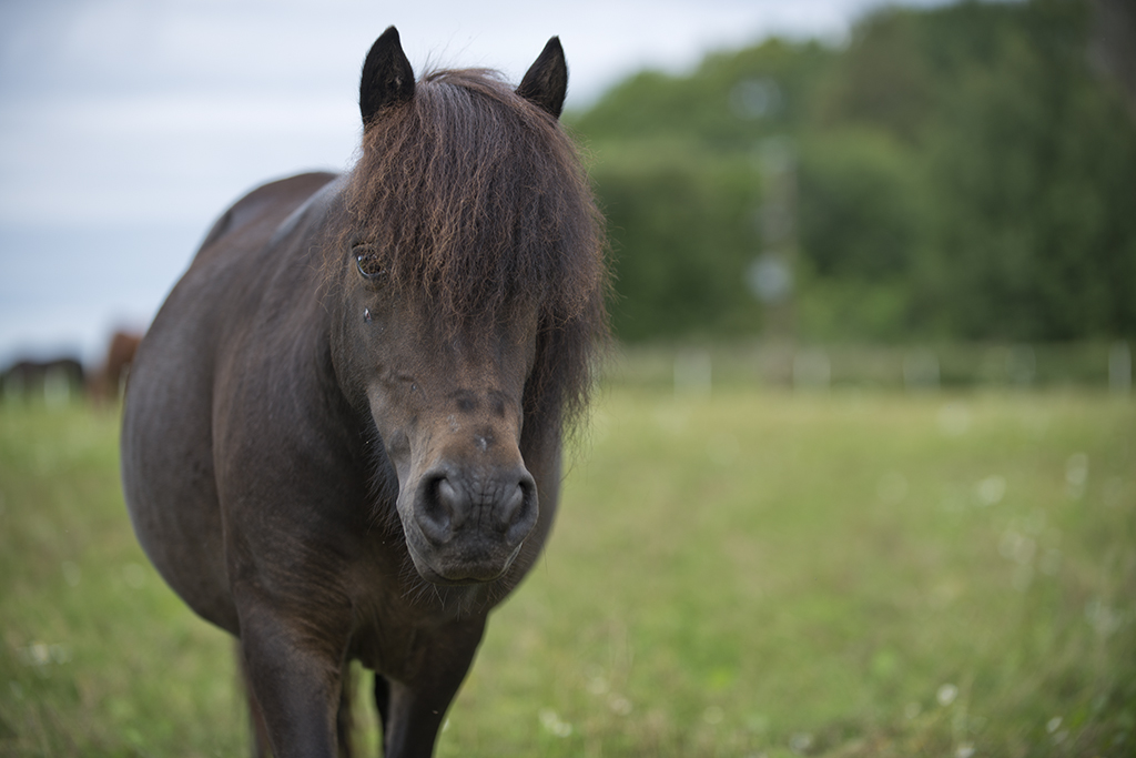 AEB-20120812-084904_01