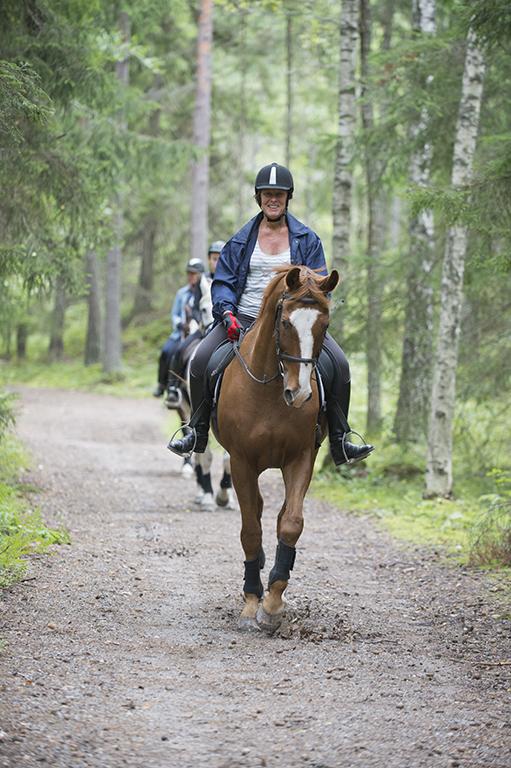 AEB-20120812-094031_01