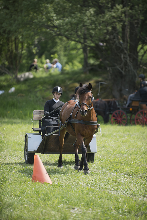 AEB-20130601-121118_01